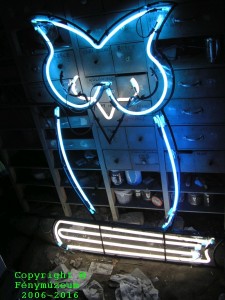Bagoly antikvárium neon